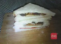 Illustration of homemade sandwiches 11