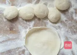 Illustration of how to make three fresh stuffed dumplings 4