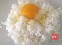 Shrimp Illustration of how to make fried rice 2