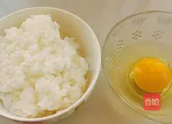 Colorful Fried Rice Recipe Illustration 1