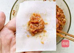 Illustration of how to make wontons stuffed with pork and carrots 6