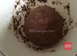 Illustration of how to make two-color steamed buns 5