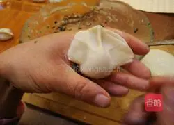 Illustration of how to wrap dumplings 12