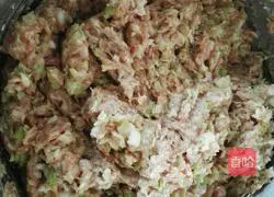 Illustration of how to make wontons 4