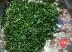 Illustration of how to make dumplings 8