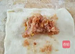 Illustration of how to make wontons 6