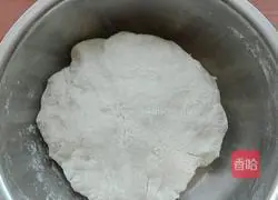 Pork Sophora Flower Dumplings Illustration of how to do it 11