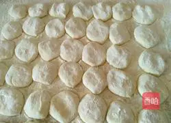 Illustration of how to make pork and leek dumplings 6