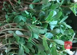 Illustration of how to make purslane and egg pancakes 1