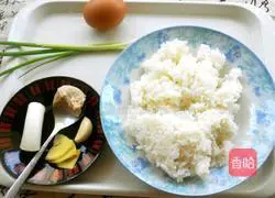 Soy sauce fried rice recipe 1