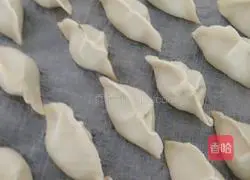 Illustration of how to make dumplings 6