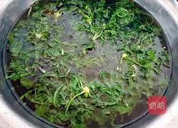 Illustration of how to make shepherd's purse and meat buns 8