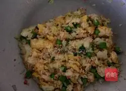 Illustration of how to make colorful fried rice 2