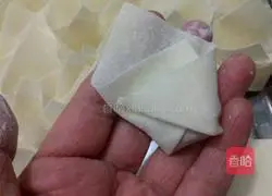 Illustration of how to make shrimp wontons 11