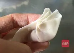 Illustration of how to wrap wontons 11