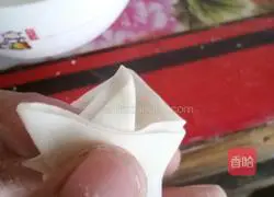 Illustration of how to make wontons 5