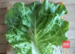 Illustration of how to make sandwich burger 6