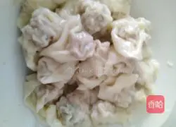 Illustration of how to make wontons 8