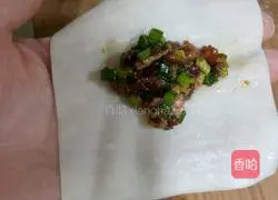 Illustration of how to make wontons 4