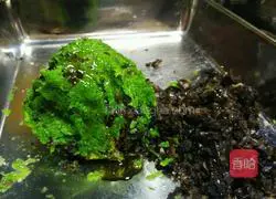 Illustration of how to make celery and pork dumpling stuffing 15