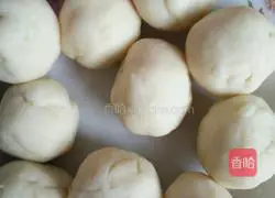 Illustration of how to make burritos 1