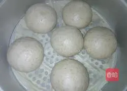 Illustration of how to make bean dregs steamed buns 11