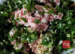 Illustration of how to make wontons 4