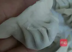 Illustration of how to make pork stuffed dumplings 4