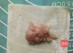 Illustration of how to make seaweed wontons 3