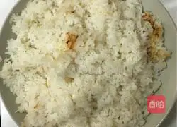 Assorted Fried Rice Recipe Illustration 1