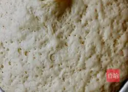 Illustration of how to make cabbage, green pepper and meat buns 4