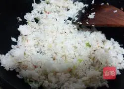 Assorted Fried Rice Recipe Illustration 12