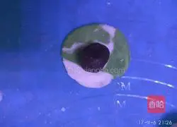 Illustration of how to make Yuhua stone glutinous rice balls 13