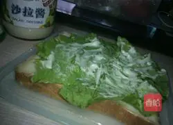 Nutritious Simple Sandwich Recipe Illustration 3