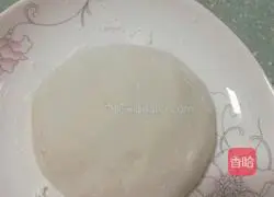 Shrimp and Carrot Pancakes Practice illustration 2