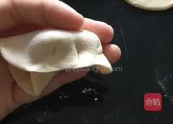 Illustration of how to make pork dumplings 10