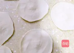 Illustration of how to make dumplings 9