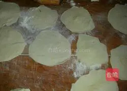 Illustration of how to make vegetarian dumplings 5