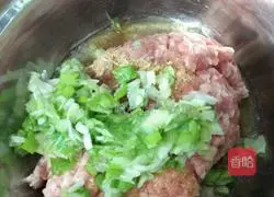 Illustration of how to make wontons 1