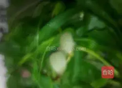 Wild Vegetable Fried Noodles Recipe Illustration 1