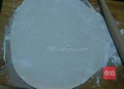 Illustration of hand-made noodle soup 10