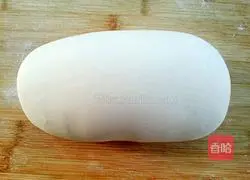 Carrot Illustration of how to make vegetarian dumplings 11