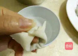 Illustration of how to make wontons 10