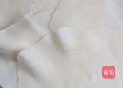 Illustration of how to make Shaomai 16