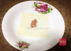 Illustration of how to make wontons 3