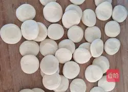 Illustration of how to squeeze dumplings 1