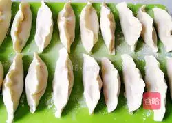 Illustration of how to make pot stickers and dumplings 13
