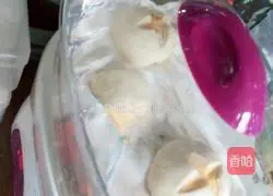 Illustration of how to make flowering steamed buns 8