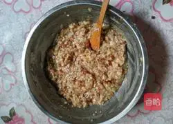 Pork Wonton Recipe Illustration 4