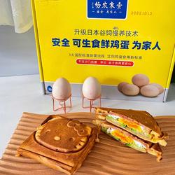 Hot Pressed Egg Sandwich